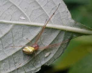 DSC04557a